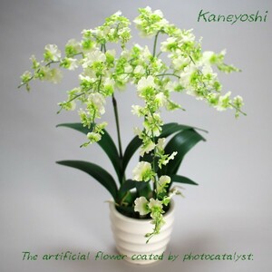  праздник искусственный цветок цветок подарок фотокаталитический on siju-m[3шт.@.] белый зеленый 