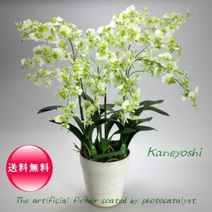 праздник искусственный цветок цветок подарок фотокаталитический on siju-m[6шт.@.] белый зеленый 