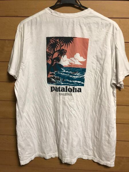 パタゴニア　patagonia Tシャツ　限定　ハワイ　ハレイワ