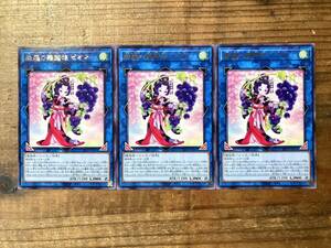 【送料一件分で同梱可】遊戯王　森羅の舞踏娘 ピオネ rare レア【3枚セット】