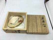 貝香合　梅松葉　茶道具　ハマグリ　蛤香合　香道具　日本製　共箱付き　レトロ　茶会　お香入れ　金彩　貝絵　0612-03_画像9