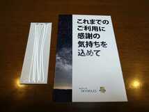 【非売品】新品未使用 デルタ航空 上級会員 プラチナメダリオンの手荷物タグ 2枚セット_画像8