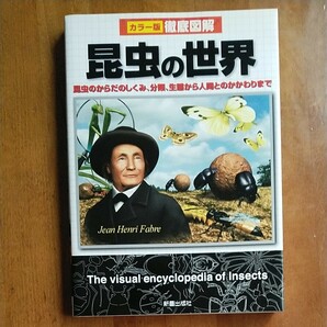 【良品】昆虫の世界　昆虫のからだのしくみ、分類、生態から人間とのかかわりまで （カラー版徹底図解） 岡島秀治／監修