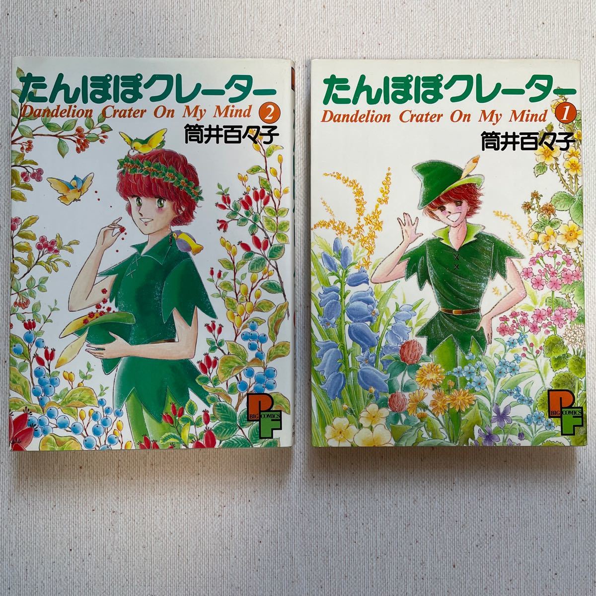 PayPayフリマ|たんぽぽ様専用2冊