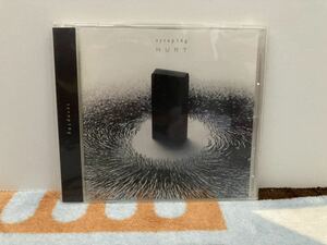 【CD】syrup16g / HURT 帯付美品