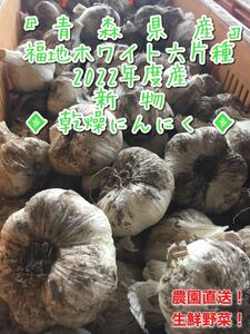 青森県産 乾燥にんにく 福地ホワイト六片種 新物 にんにく 乾燥ニンニク L〜2Lサイズ混合 土付き 5キロ 送料無料