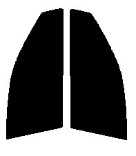 スモーク　２６％　運転席、助手席　プレミオ　T240・T245　カット済みフィルム　国産