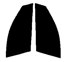 ダークスモーク　１３％　2層構造フィルム　運転席・助手席　アコード　セダン　CL　カット済みカーフィルム　