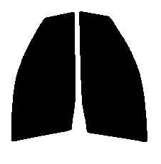 ダークスモーク　１３％　2層構造フィルム　運転席・助手席　トヨタ　ラウム NCZ20・NCZ25 カット済みカーフィルム　