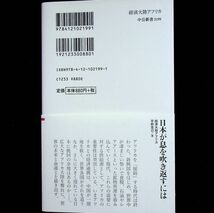 送料無★経済大陸アフリカ、平野克己著、中公新書2013年、中古 #1858_画像2