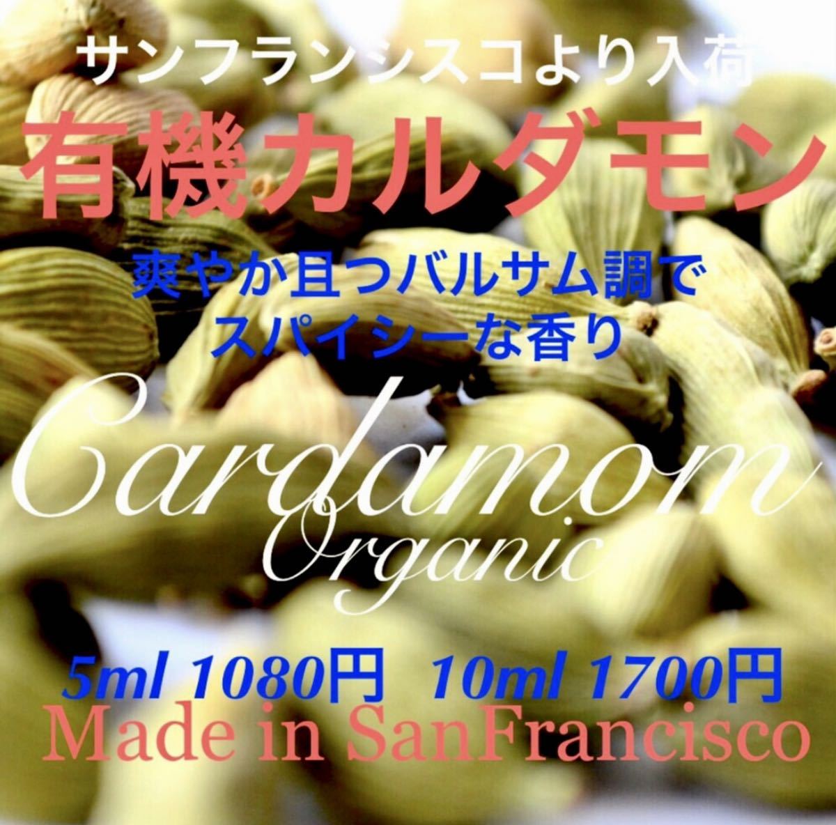 10ml販売ページ】フロリダより入荷幻の竜涎香アンバーグリスオーダー ...