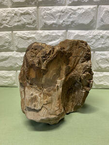 木化石 珪化木 年輪 鑑賞石 木の化石 原型 原石 天然石 鉱物標本 鉱物 結晶化 骨董品 重さ:約6.5kg　高さ20ｃｍ