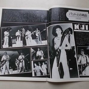 Young Rock ヤングロック Vol.7 パット・マッグリン インジャパンの画像6