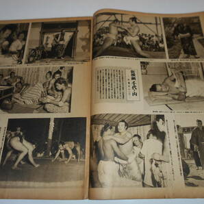 大相撲春場所号 アサヒスポーツ 別冊 臨時増刊 昭和27年1月 千代の山の画像7