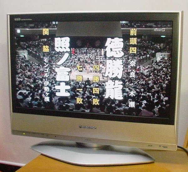 注目：Panasonic★地上/BS/110度CS液晶テレビ TH-20LX60★完動品