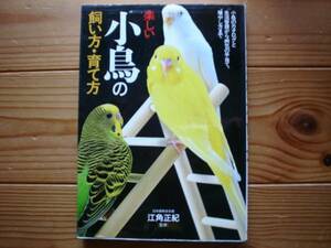 ＄楽しい小鳥の飼い方・育て方　江角正紀　表紙に傷