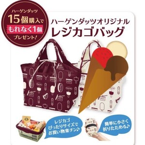 ハーゲンダッツ オリジナルレジカゴバッグ非売品 未使用品