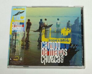 国内盤 Boom & Birds / CAMINO DE MANOS CHUECAS - CD Roberto Carlos Lange EPSTEIN マイアミ エレクトロニカ