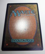 Magic:The Gathering/APACランド 平地/英1_画像4