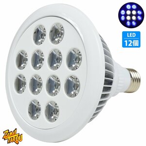 LED 電球 スポットライト 24W(2W×12)青8白4 水槽 照明 E26 水草 LEDスポットライト 電気 水草 サンゴ 熱帯魚 観賞魚 植物育成