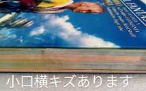 ファイナルファンタジーX シナリオアルティマニア 2001年9月14日初版 デジキューブ ※難あり_画像6