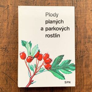 チェコの古い植物図鑑(Plody planych a parkovych rostlin 1979年)/アンティーク ヴィンテージ 植物画 ボタニカルアート 雰囲気◎/