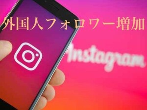 Instagram4000フォロワー増加 ほぼ減少無し!!最高品質