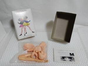 内袋未開封+廃盤品　GGP ＆ MARIO ROOM　MIKA AKITAKA'S Girl M　ガレージキット