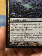 [MTG][英語FOIL] 死の溜まる地、死蔵/Shizo, Death's Storehouse [CHK]_画像5