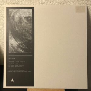 SHXCXCHCXSH STRGTHS RCNSTRCTNS レコード リミックス remix Shifted Ventress Sigha テクノ techno vinyl アナログ