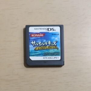 ソフト ニンテンドーDS サバイバルキッズLOST in BLUE 任天堂
