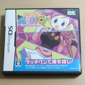 DSソフト ニンテンドーDS どきどき魔女神判