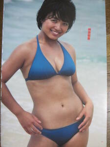 切り抜き　榊原郁恵　松本伊予　早見優 　森尾由美　348