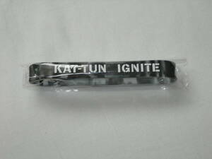 KAT-TUN　IGNITE BURN-D　先着購入特典　非売品　未開封新品