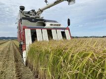 産地直送 令和3年北海道産玄米ゆめぴりか 20kg送料込み 数量限定！！_画像2