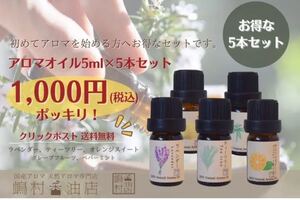 天然エッセンシャルオイル 5ml×5点セット アロマ用精油 人気セット