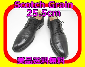 Scoatch Grain スコッチグレイン 美品 革靴 ストレートチップ ブラック 黒