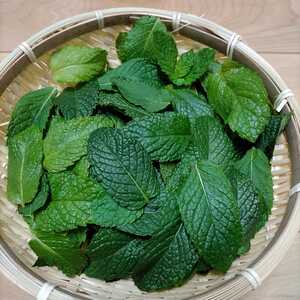  less pesticide herb spare mint dry after 20g.