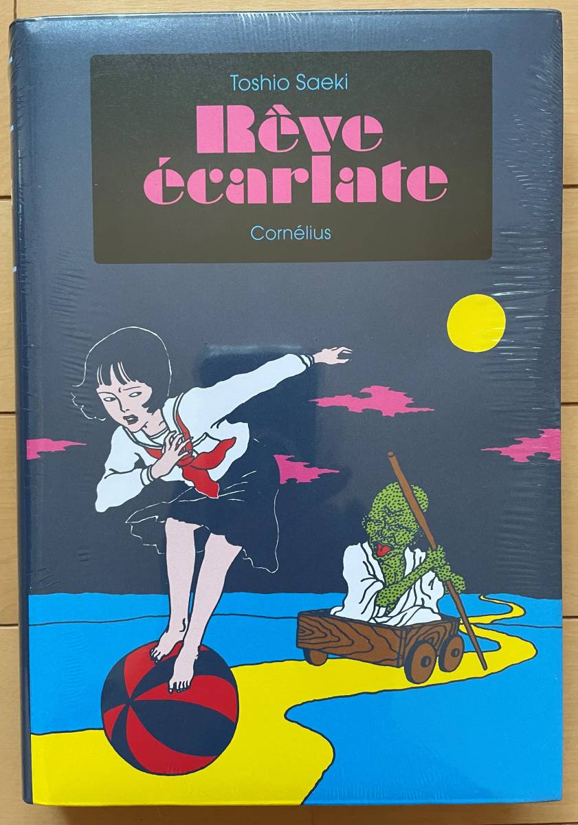 激安卸販売新品 《希少 美本》佐伯 俊男 大型本 淫剣花 河出書房新社