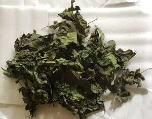 乾燥桑の葉　約40グラム　桑葉茶　薬草茶　無農薬