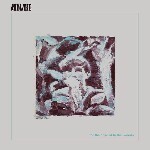 MIDLAKE / FOR THE SAKE OF BETHEL WOODS (LP)