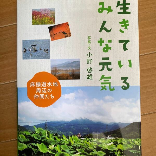 生きているみんな元気 小野　啓雄　写真・文