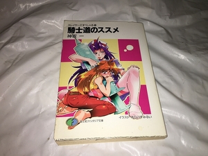 【神坂一　スレヤーズすぺしゃる(25)　騎士道のススメ】