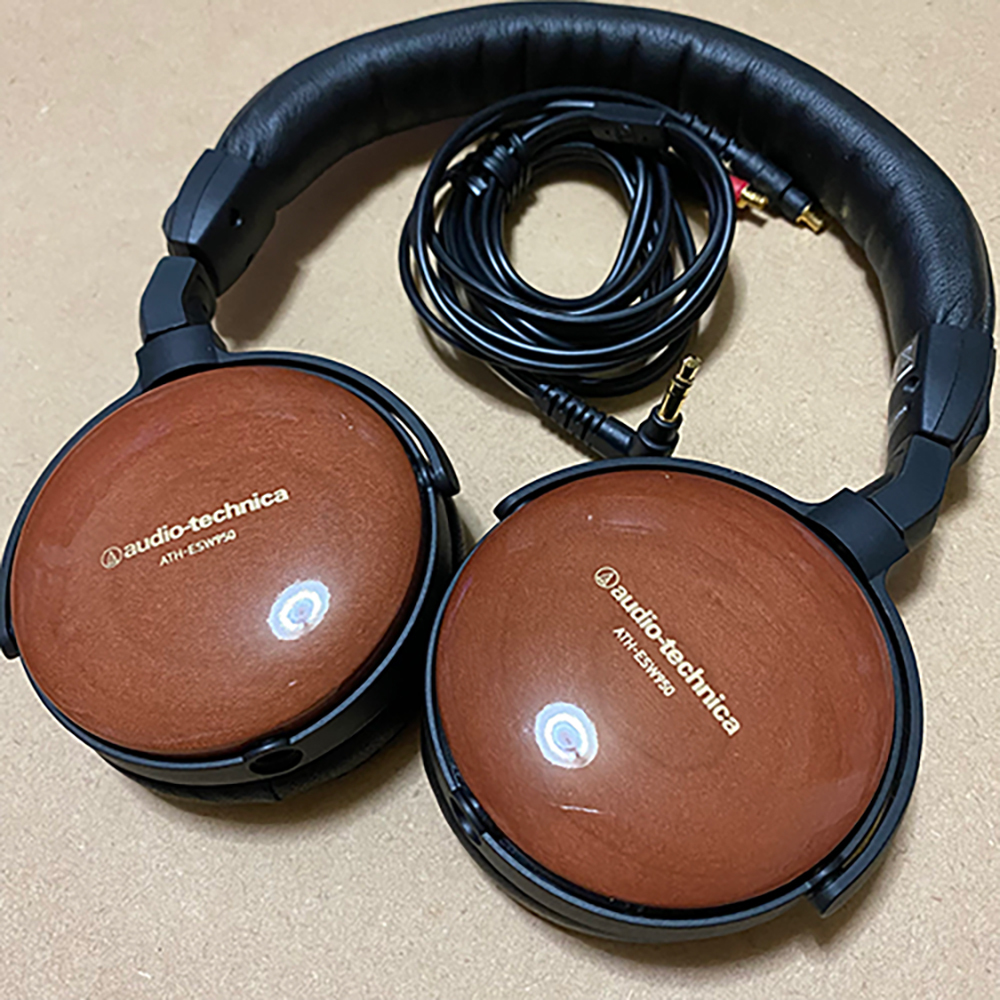 audio−technica EARSUIT ATH-ESW950 沸騰ブラドン shottys.com