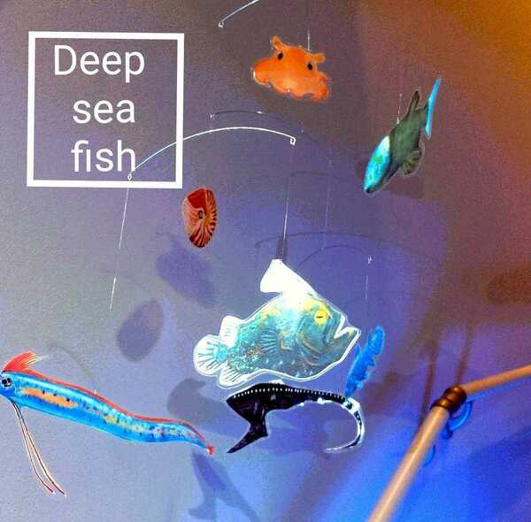 あつまれ 深海魚 古代魚 深海生物 mobile 竜宮の使い デメニギス フクロウナギ メンダコ フレンステッド ではないです モビール