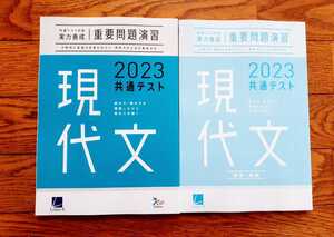 2023 新品 共通テスト 国語 現代文 実力養成 重要問題演習 ベネッセ ラーンズ 進研 Z会 河合塾 パワーマックス 直前演習 2023