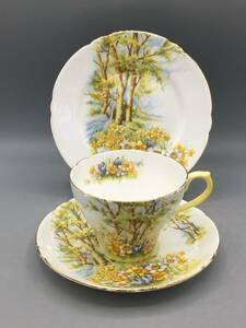  Sherry Trio cup & saucer cake plate daffodil forest . scenery * (No.10)