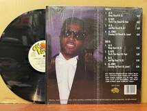 【即決】Teddy Riley/The Harlem Sessions/Ol' Skool Flava/OSF LP 4019_画像2