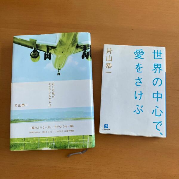 世界の中心て愛をさけぶ　もしも私がそこにいるならば2冊セット