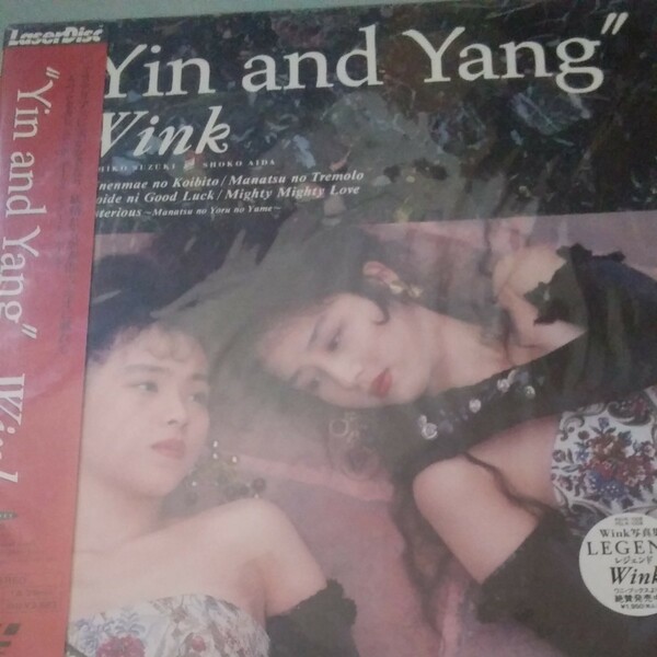 Wink　レザーディスク　Yin and Yang